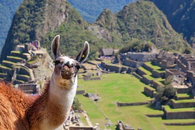 machu-picchu-day-trip-from-cusco