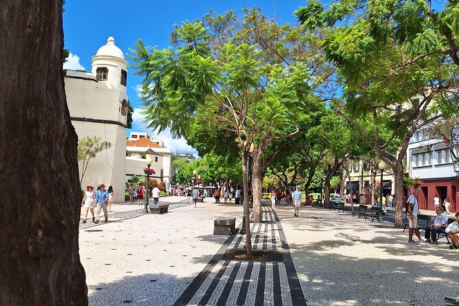 madeira-wine-tasting-and-funchal-city-tour-2