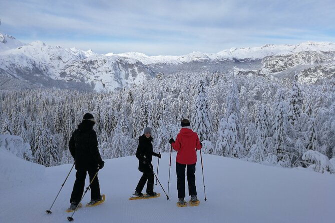 magical-snowshoeing-in-bohinj-valley-2