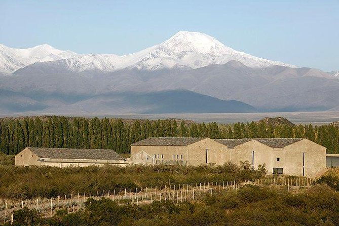 malbec-mountain-uco-valley-private-wine-tour-with-gourmet-lunch