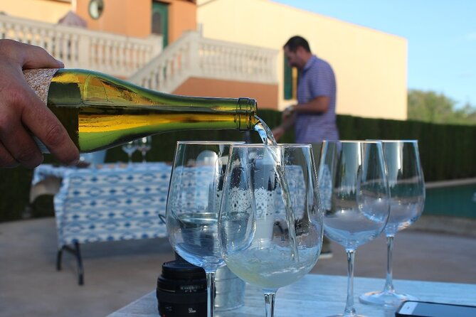 mallorca-wine-and-cheese-tasting