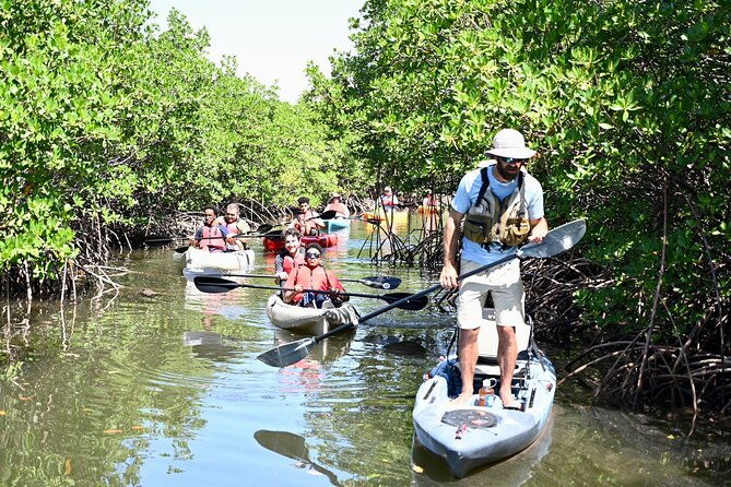mangrove-tunnel-kayak-eco-tour
