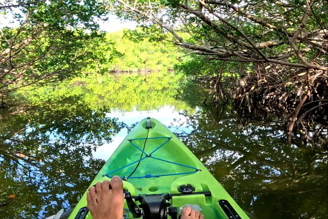 mangrove-tunnels-pedal-kayak-eco-tour-in-anna-maria-2