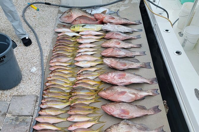 marathon-florida-keys-fishing-experience