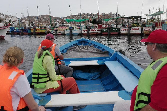 marine-wildlife-observation-in-a-fishing-village