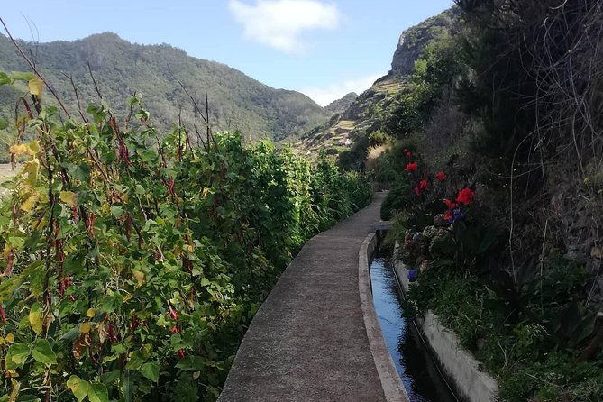 marocos-mimosa-valley
