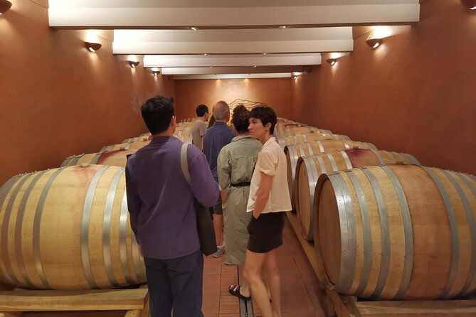 marseille-shore-excursion-full-day-wine-tour-in-provence-2