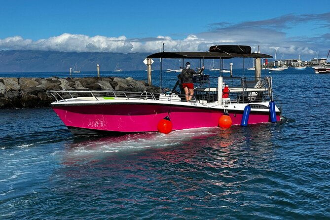 maui-mid-day-magic-whale-watch
