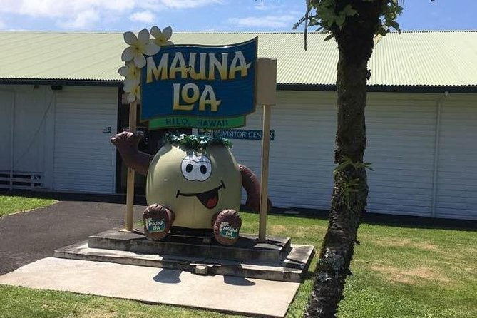 maui-to-big-island-big-island-volcano-helicopter-tour-ground-tour