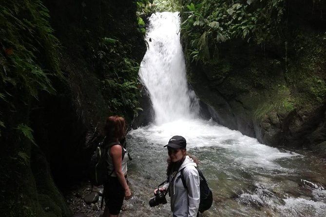 mindo-cloud-forest-private-tour-from-quito-nature-waterfalls-and-chocolate