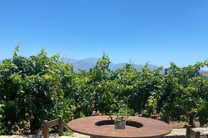 minoan-crete-knossos-palace-winery-visit-and-lunch-at-archanes