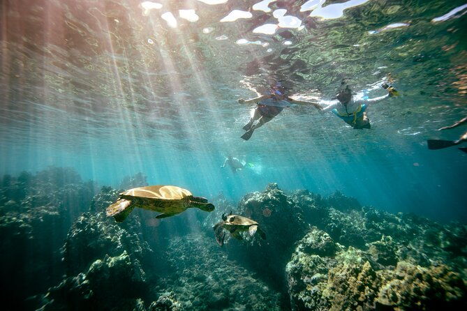 molokini-snorkel-whale-watching-from-kihei-2