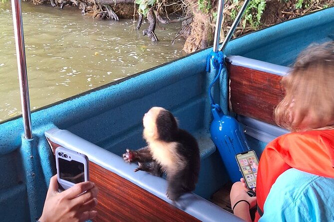 monkey-island-eco-wild-life-adventure-on-lake-gatun