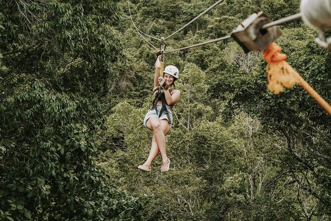 monkey-jungle-with-zip-line