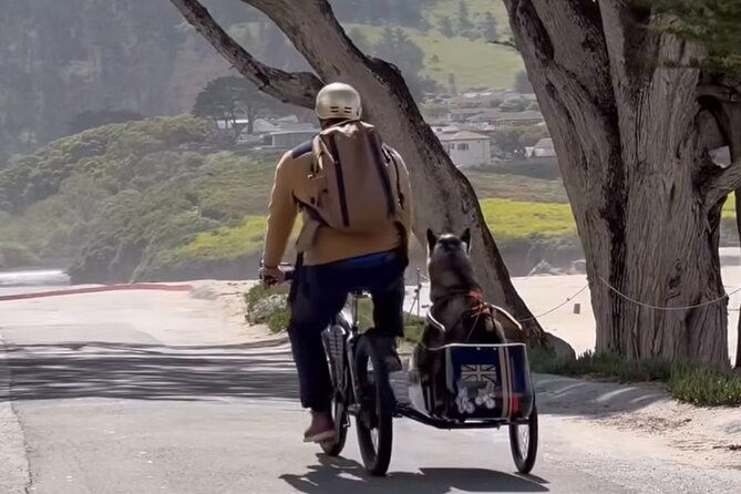 monterey-bay-famous-dog-friendly-electric-bike-and-sidecar-tour