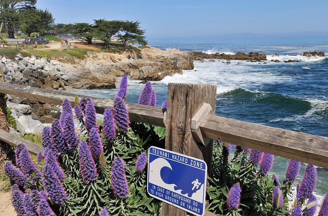 monterey-carmel-and-17-mile-drive-full-day-tour-from-sf