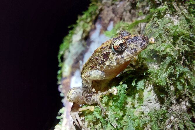 monteverde-cloud-forest-tour-2