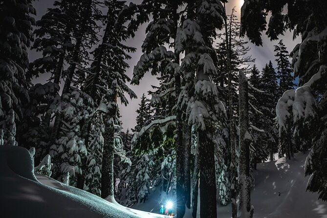 moonlight-snowshoe-hike