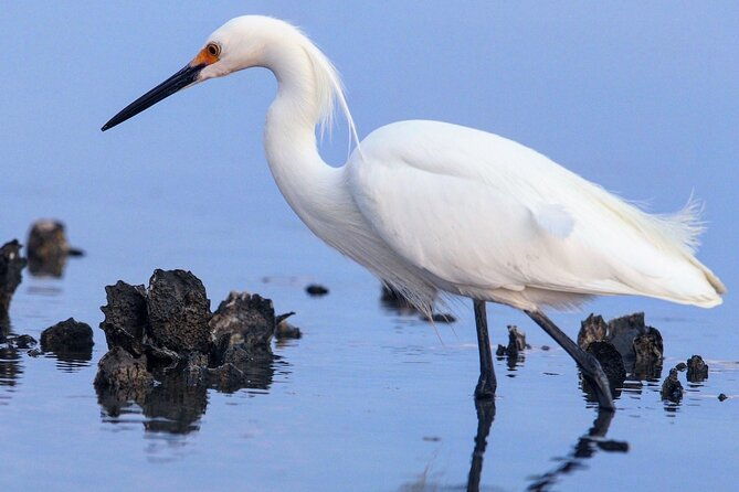 morning-beaufort-river-tour