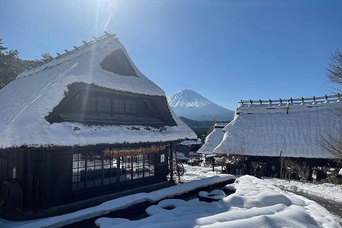 mount-fuji-four-iconic-scenic-spots-day-tour-from-tokyo