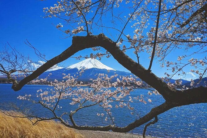 mount-fuji-full-day-tour-form-tokyo-lake-kawaguchi-yamanaka