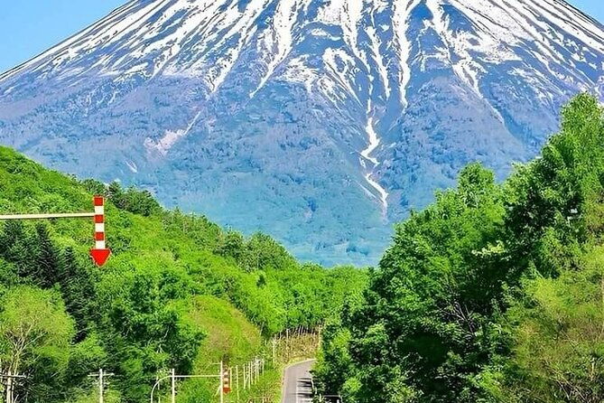 mount-fuji-sightseeing-one-day-tour-from-shinjuku