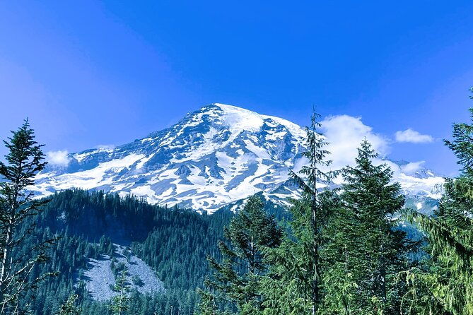 mount-rainier-customized-tour-from-seattle