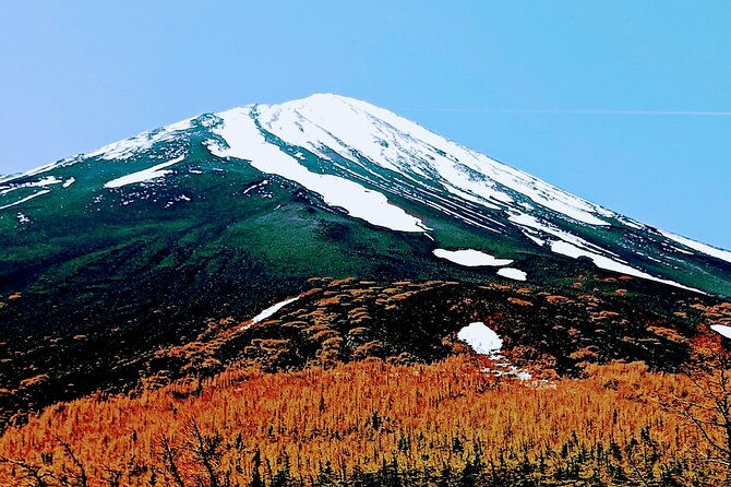 mountain-fuji-tour-in-japan-with-professional-english-tour-guide