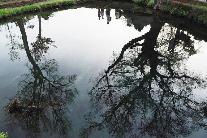 mt-fuji-and-lake-kawaguchiko-private-tour-by-car