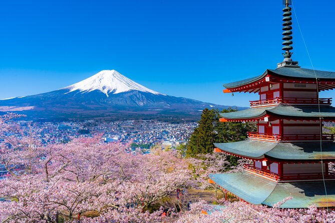 mt-fuji-cherry-blossom-one-day-tour-from-tokyo