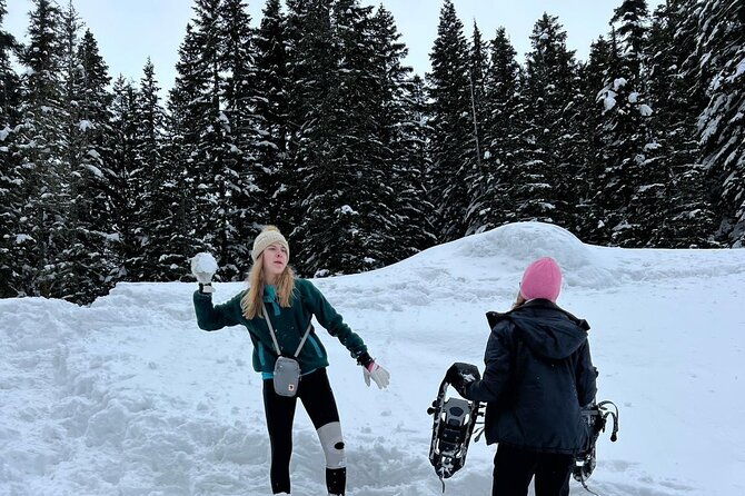 mt-rainier-full-day-adventure-luxury-suv-up-to-7-guests-2