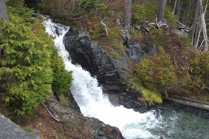 mt-rainier-private-tour-experience-in-suv-2