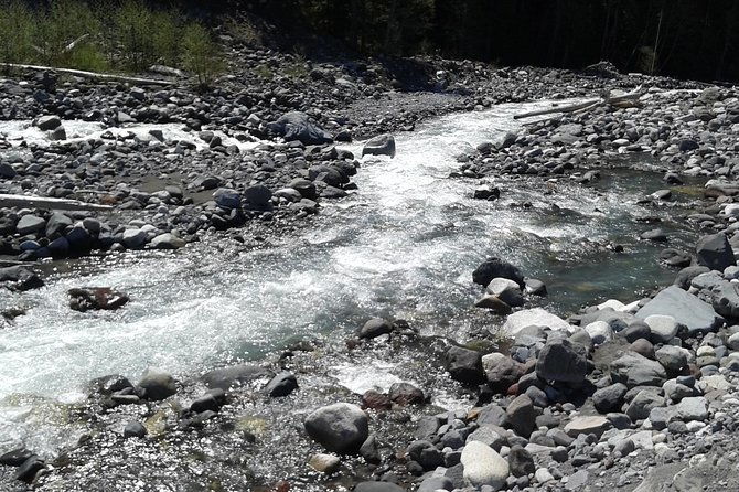 mt-rainier-private-tour-experience-in-suv