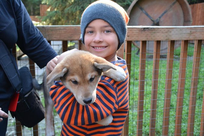 mushers-camp-and-smore-roasting-experience-2