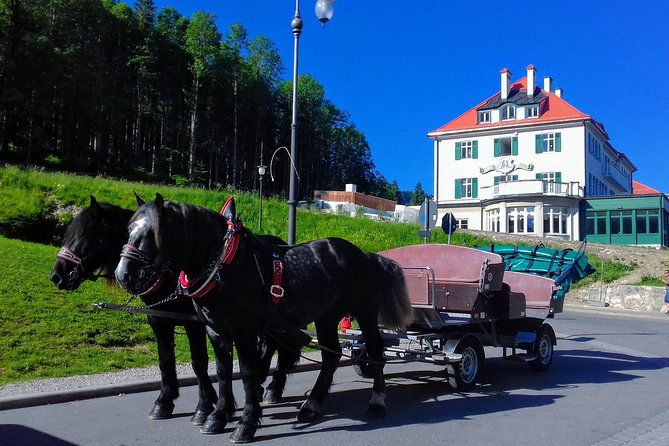 myguide-the-kings-greatest-palaces-neuschwanstein-herrenchiemsee-from-munich
