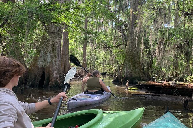 mystical-private-kayak-and-canoe-tours-on-caddo-lake