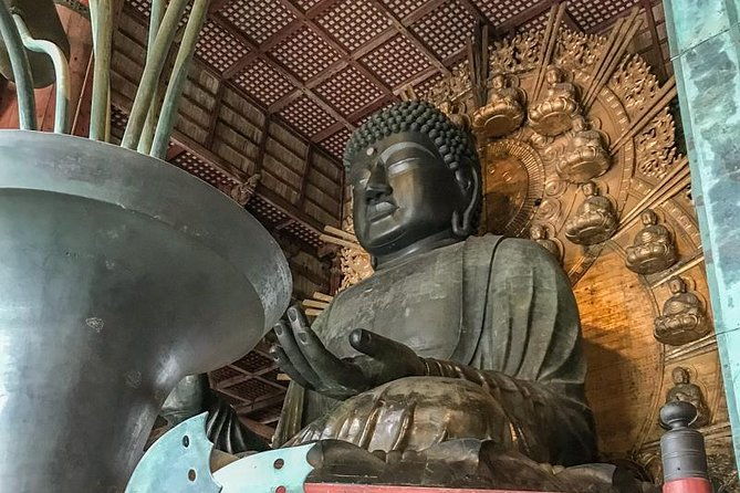 nara-private-day-trip-enjoy-your-first-time-visit-to-nara