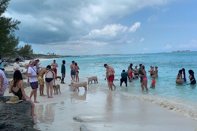 nasprivate-beach-club-snorkel-pigs-turtles-bahamama-bbq