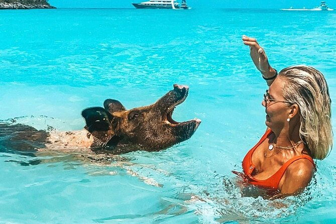 nassau-to-exuma-full-day-trip-experience