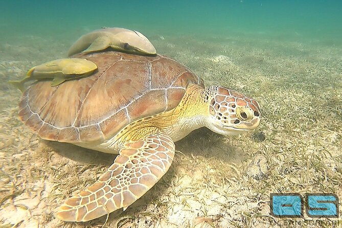 national-park-snorkeling-excursion