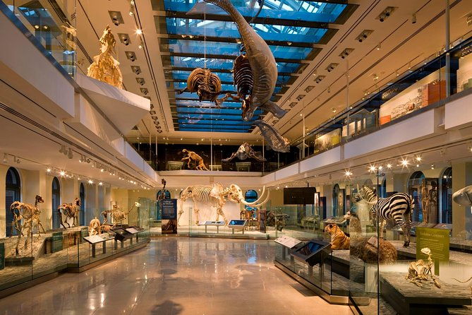natural-history-museum-of-los-angeles-county-admission