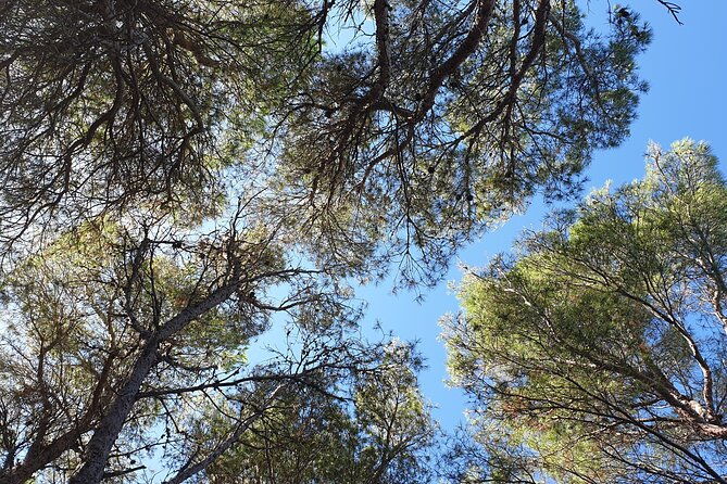 naturalistic-excursion-to-ustica