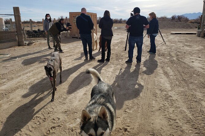 nature-health-farms-petting-zoo-alpaca-farm-pahrump-death-valley-2