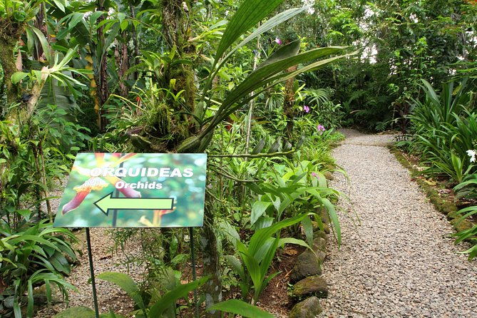 nature-walk-at-ecological-park-and-butterfly-garden-danaus