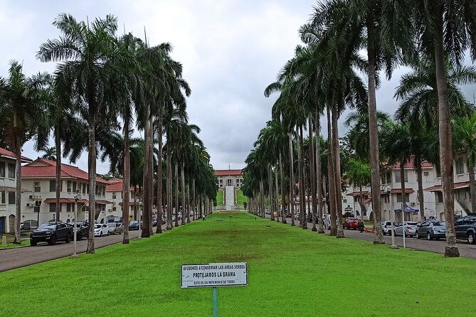 nature-walk-on-ancon-hill