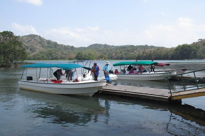 navigation-in-the-panama-canal-gatun-lake-and-sloth-sanctuary