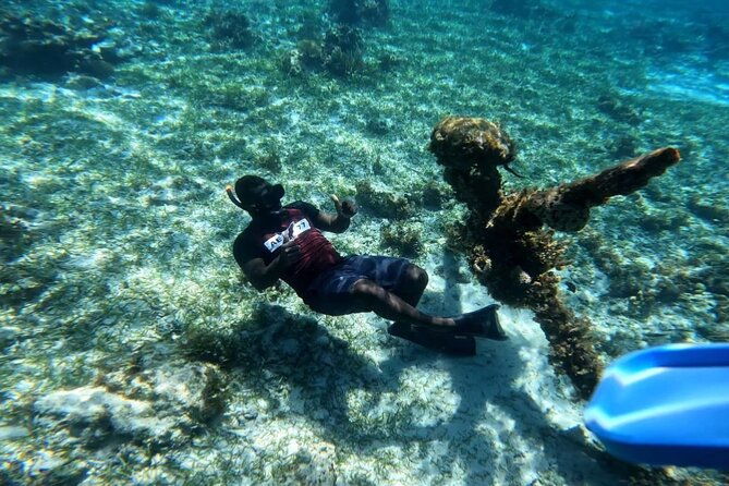 negril-glass-bottom-boat-tour-snorkeling-and-booby-cay