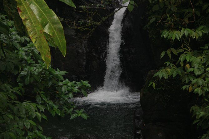 north-caribbean-tour-in-martinique