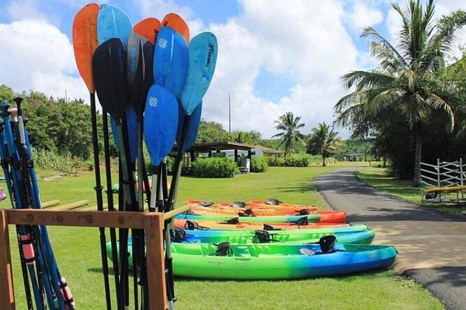 north-shore-farm-anahulu-river-kayak-sup-turtles-lunch-more