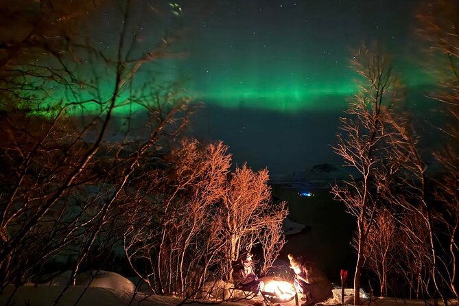 northern-lights-tour-with-hot-food-and-drinks-in-tromso